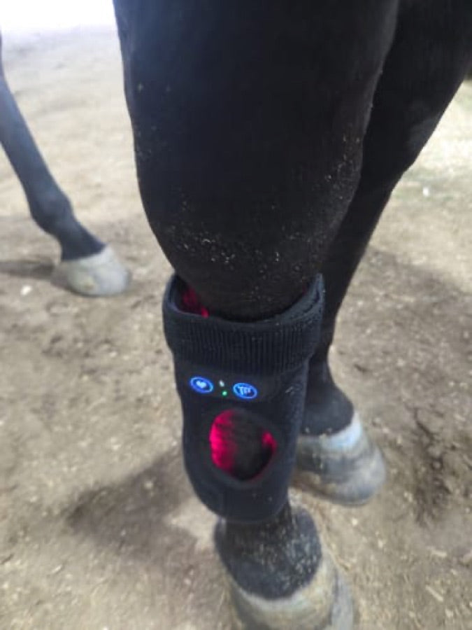 Customer's black Haldrow Haldrow Leg Wrap wrapped on a horse's lower leg with red light and blue control lights active.