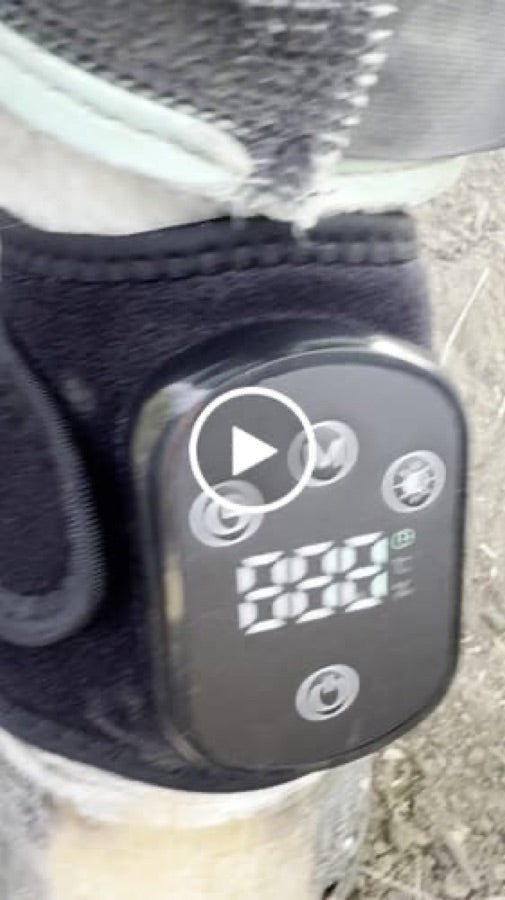 Customer video review of Haldrow™ Red Light Leg Wrap for Horses