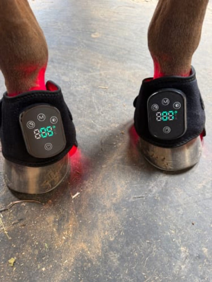 Customer's black Haldrow Haldrow Leg Wrap wraps on a pony's legs, showing digital controls and red light therapy.
