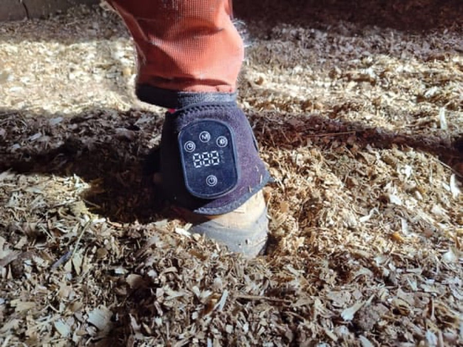 Reviewer's Haldrow Haldrow Leg Wrap wrapped on a horse's lower leg in a stable with wood shavings.