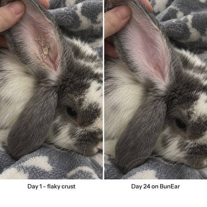 BunEar Rescue Oil