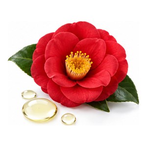Camellia Oil