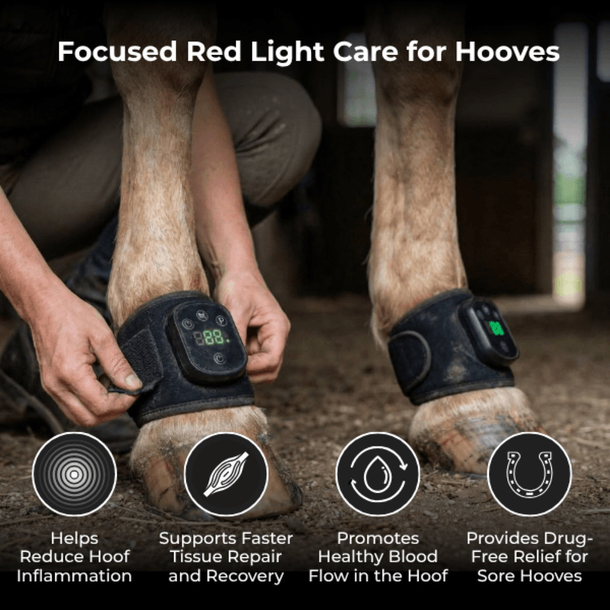 Haldrow™ Red Light Leg Wrap for Horses