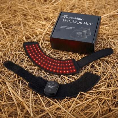 Haldrow™ Red Light Leg Wrap for Horses
