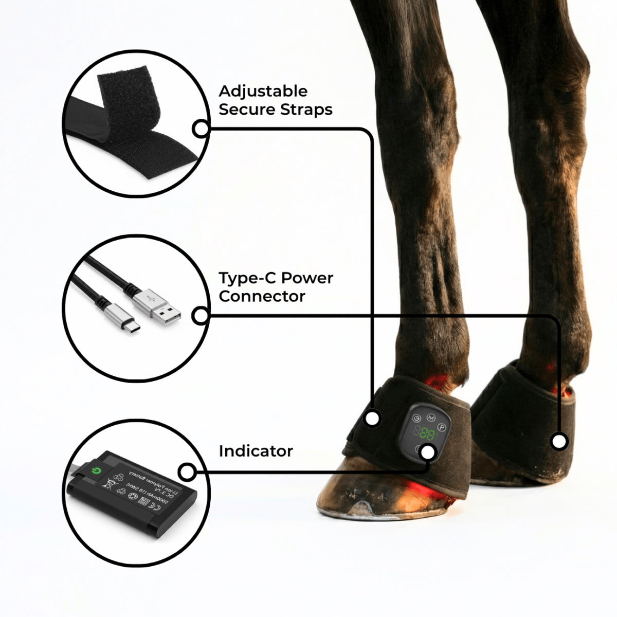 Haldrow™ Red Light Leg Wrap for Horses