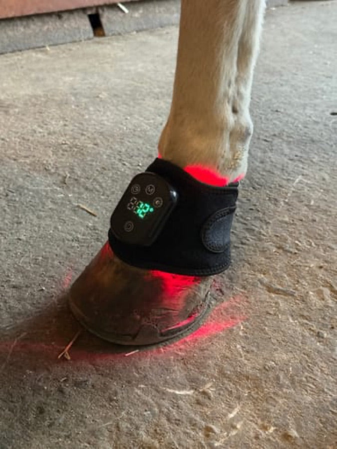 Customer's Haldrow Haldrow Leg Wrap wrapped around a horse's lower leg, glowing with red light and displaying a digital timer.