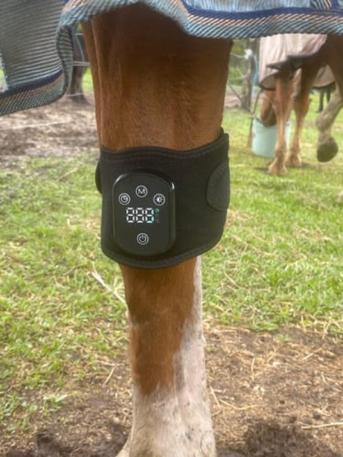Customer's Haldrow Haldrow Leg Wrap worn on a brown horse's lower leg in a grassy field.